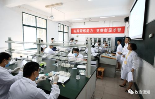 湖南成功舉辦第四屆全省水產(chǎn)技術(shù)推廣職業(yè)技能競(jìng)賽 融合通訊工程技術(shù)研發(fā)與服務(wù)