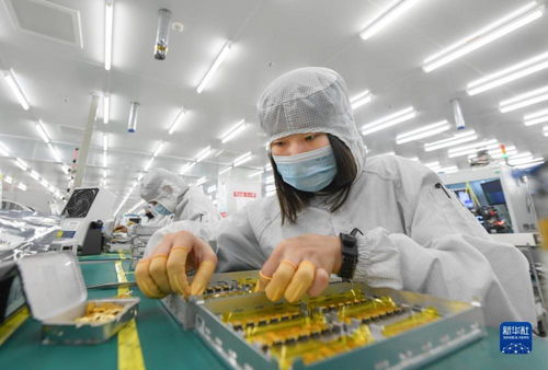 靠譜服務(wù)驅(qū)動(dòng)技術(shù)創(chuàng)新，標(biāo)準(zhǔn)引領(lǐng)未來(lái)——一家光通信企業(yè)的出海秘籍